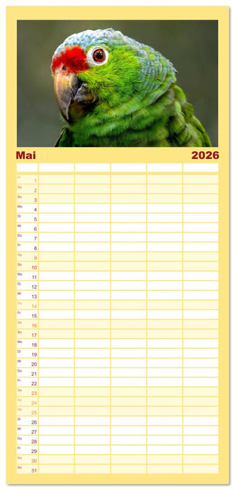 Tropische Vögel Costa Ricas (CALVENDO Familienplaner 2026)