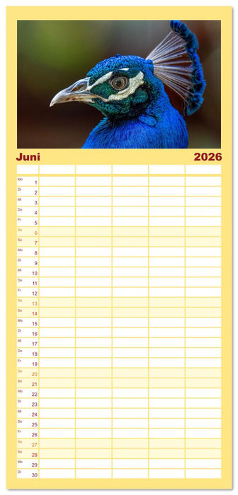 Tropische Vögel Costa Ricas (CALVENDO Familienplaner 2026)