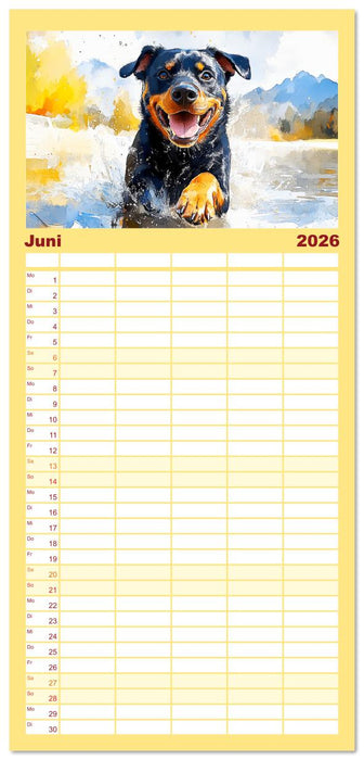 Kraftvolle Rottweiler. Stattliche Begleithunde im Aquarell-Stil (CALVENDO Familienplaner 2026)