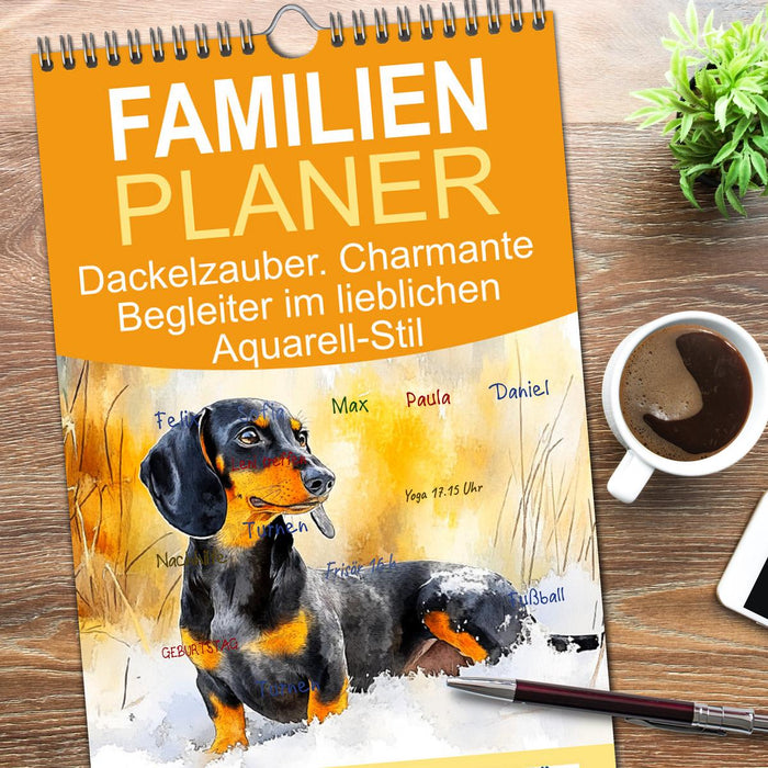 Dackelzauber. Charmante Begleiter im lieblichen Aquarell-Stil (CALVENDO Familienplaner 2026)