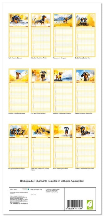 Dackelzauber. Charmante Begleiter im lieblichen Aquarell-Stil (CALVENDO Familienplaner 2026)