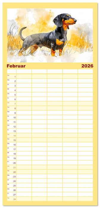 Dackelzauber. Charmante Begleiter im lieblichen Aquarell-Stil (CALVENDO Familienplaner 2026)