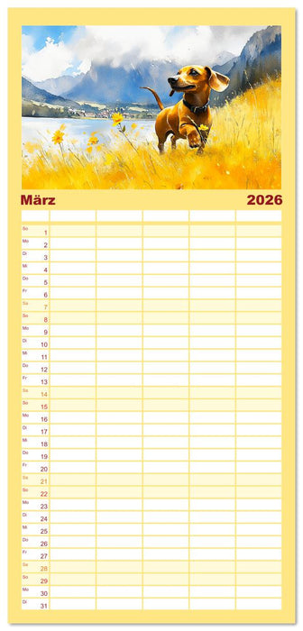 Dackelzauber. Charmante Begleiter im lieblichen Aquarell-Stil (CALVENDO Familienplaner 2026)