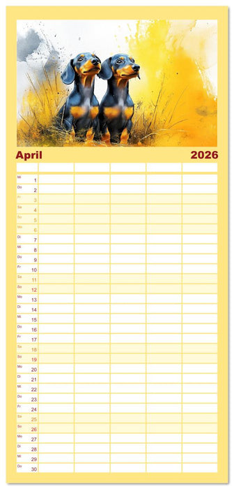 Dackelzauber. Charmante Begleiter im lieblichen Aquarell-Stil (CALVENDO Familienplaner 2026)