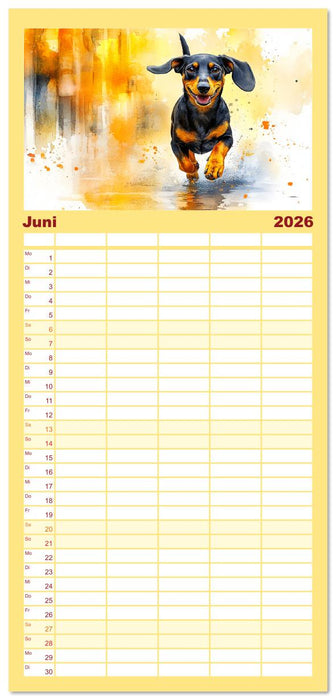 Dackelzauber. Charmante Begleiter im lieblichen Aquarell-Stil (CALVENDO Familienplaner 2026)