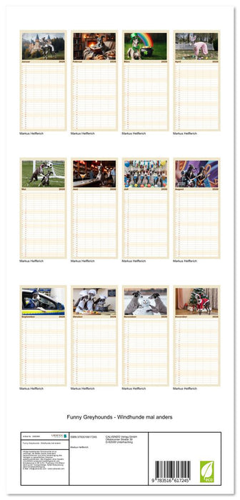 Funny Greyhounds - Windhunde mal anders (CALVENDO Familienplaner 2026)