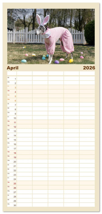 Funny Greyhounds - Windhunde mal anders (CALVENDO Familienplaner 2026)
