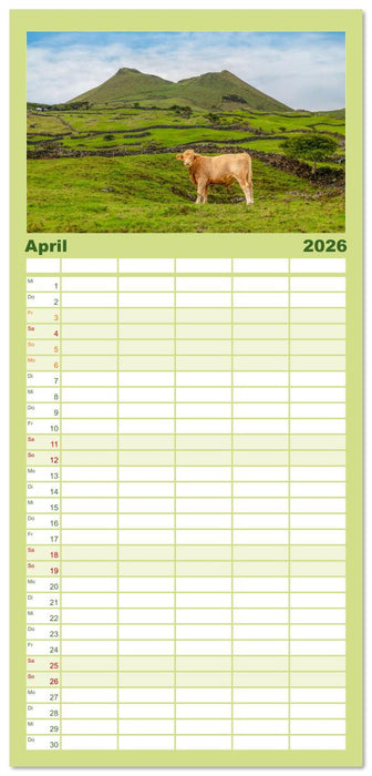 Azoren, Wo Feuer und Meer aufeinandertreffen. (CALVENDO Familienplaner 2026)