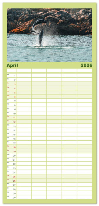 OMAN - Orientperle (CALVENDO Familienplaner 2026)