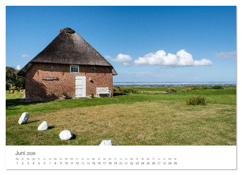 Sønderjylland - Dänemarks Süden (CALVENDO Premium Wandkalender 2026)