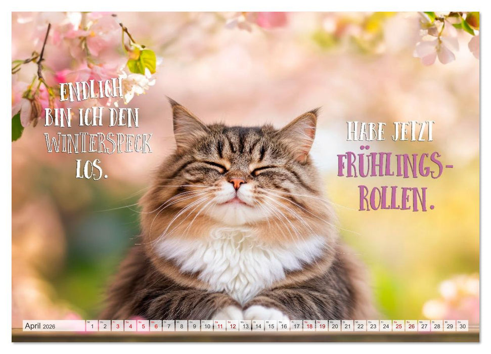 FLAUSCHFIGUR DELUXE Jeden Monat ein Häppchen Humor (CALVENDO Wandkalender 2026)