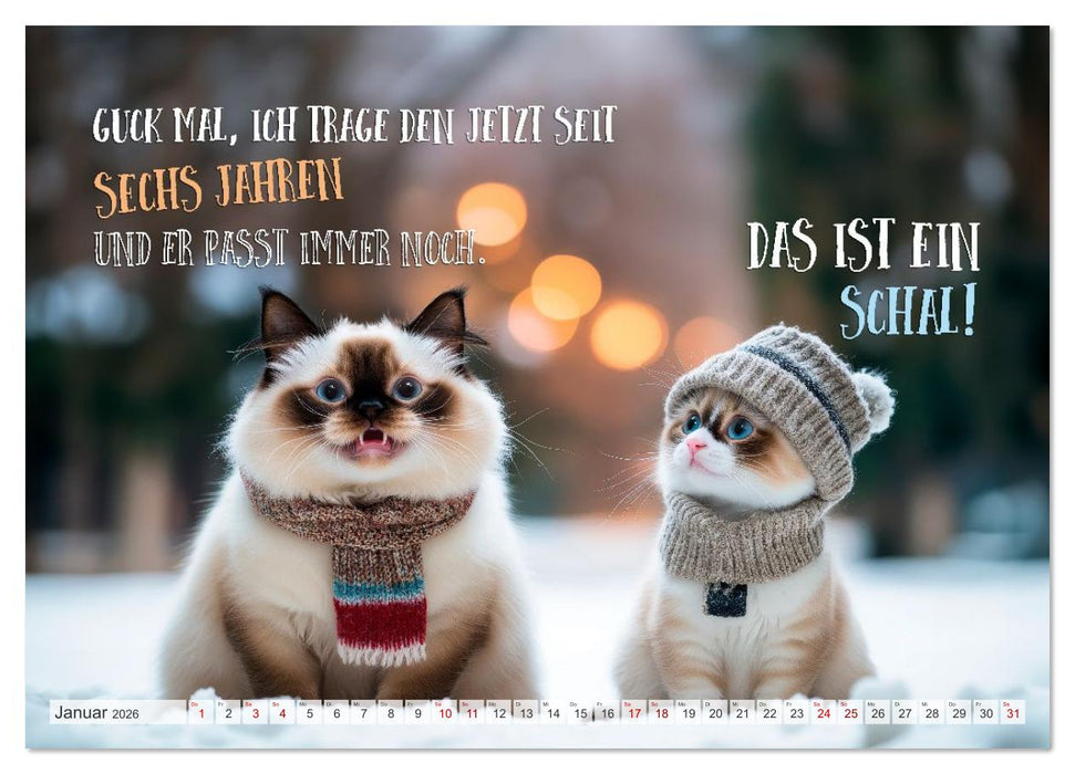 FLAUSCHFIGUR DELUXE Jeden Monat ein Häppchen Humor (CALVENDO Premium Wandkalender 2026)