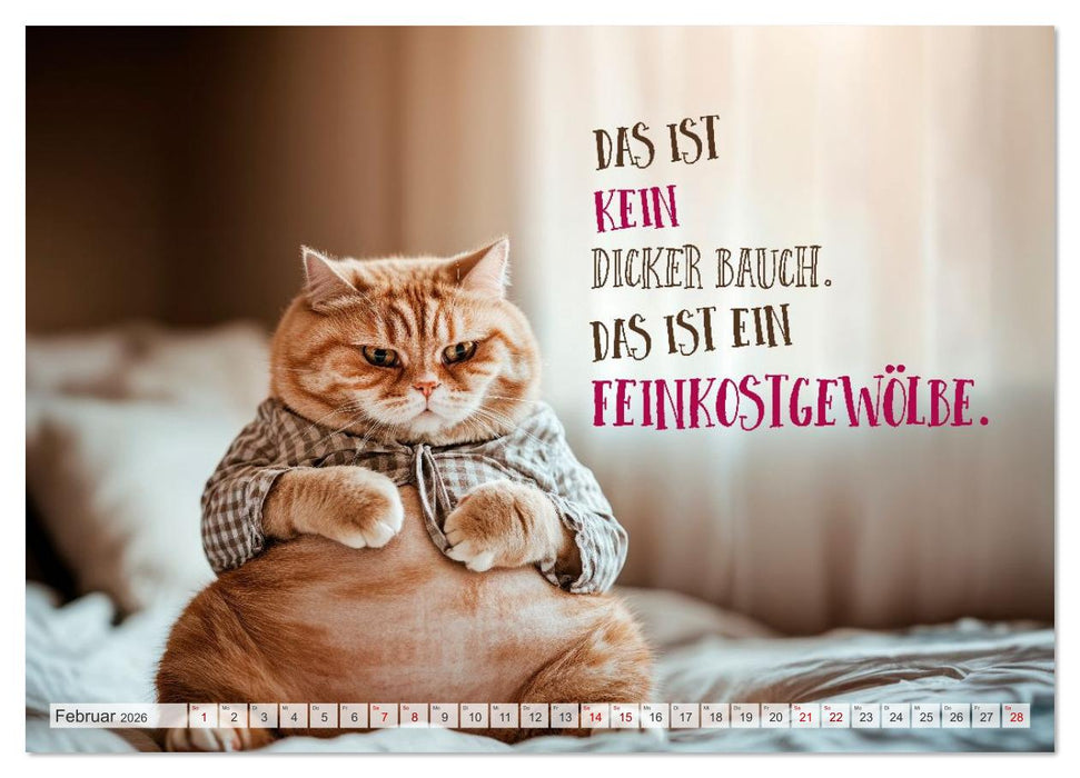 FLAUSCHFIGUR DELUXE Jeden Monat ein Häppchen Humor (CALVENDO Premium Wandkalender 2026)
