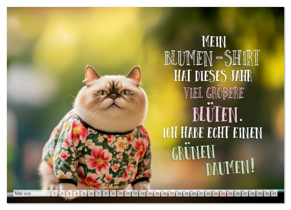 FLAUSCHFIGUR DELUXE Jeden Monat ein Häppchen Humor (CALVENDO Premium Wandkalender 2026)