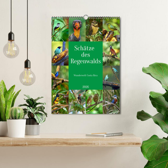 Schätze des Regenwalds (CALVENDO Wandkalender 2026)