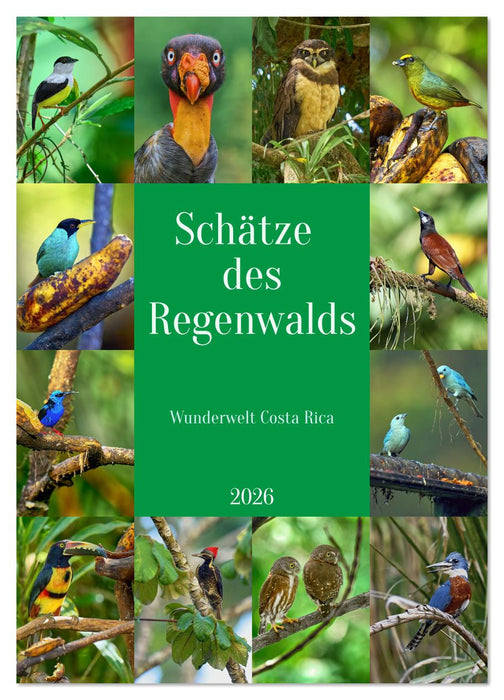 Schätze des Regenwalds (CALVENDO Wandkalender 2026)