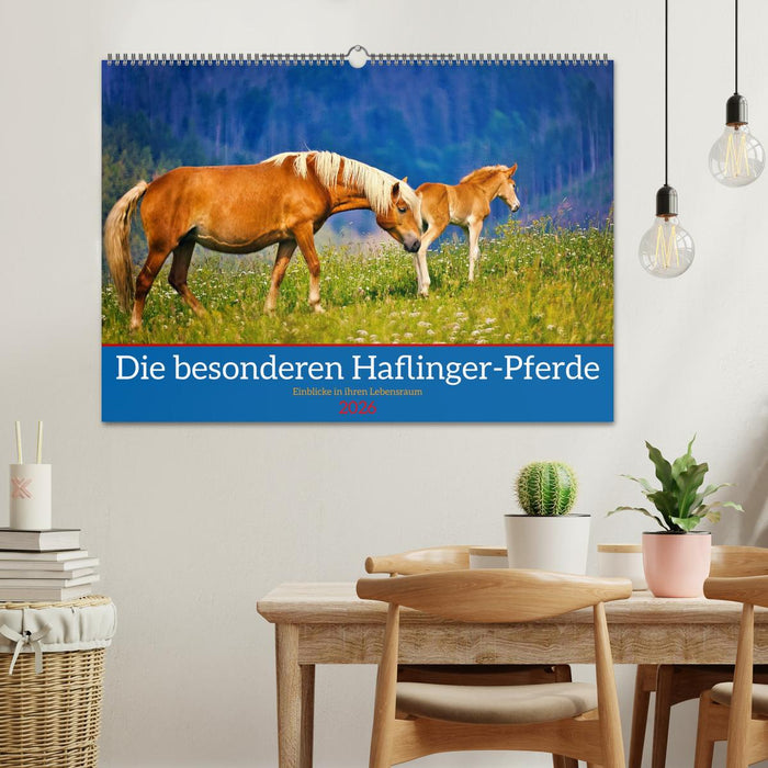 Die besonderen Haflinger-Pferde (CALVENDO Wandkalender 2026)