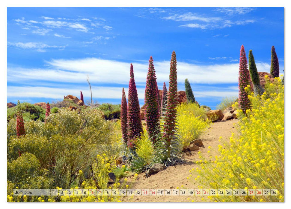 Teneriffa - Insel der Glückseligen (CALVENDO Premium Wandkalender 2026)