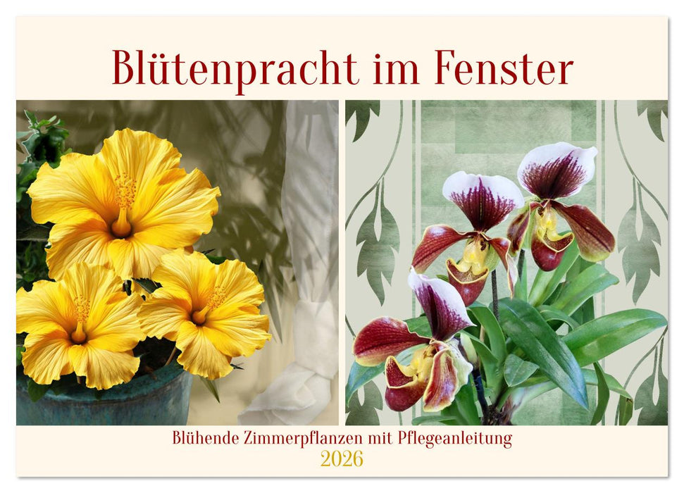 Blütenpracht am Fenster (CALVENDO Wandkalender 2026)