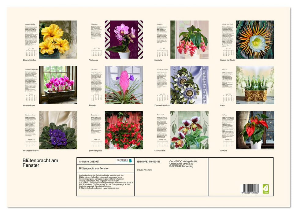 Blütenpracht am Fenster (CALVENDO Wandkalender 2026)