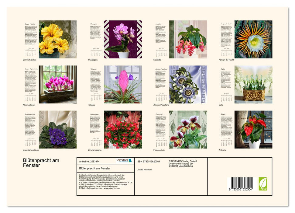 Blütenpracht am Fenster (CALVENDO Premium Wandkalender 2026)
