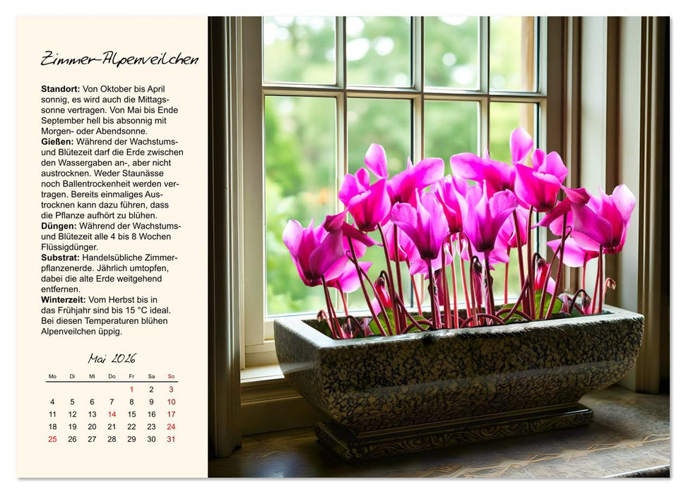 Blütenpracht am Fenster (CALVENDO Premium Wandkalender 2026)