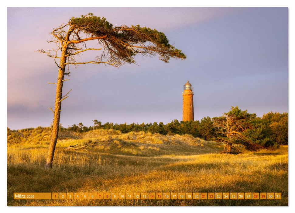Fischland-Darß-Zingst Impressionen einer Halbinsel (CALVENDO Wandkalender 2026)