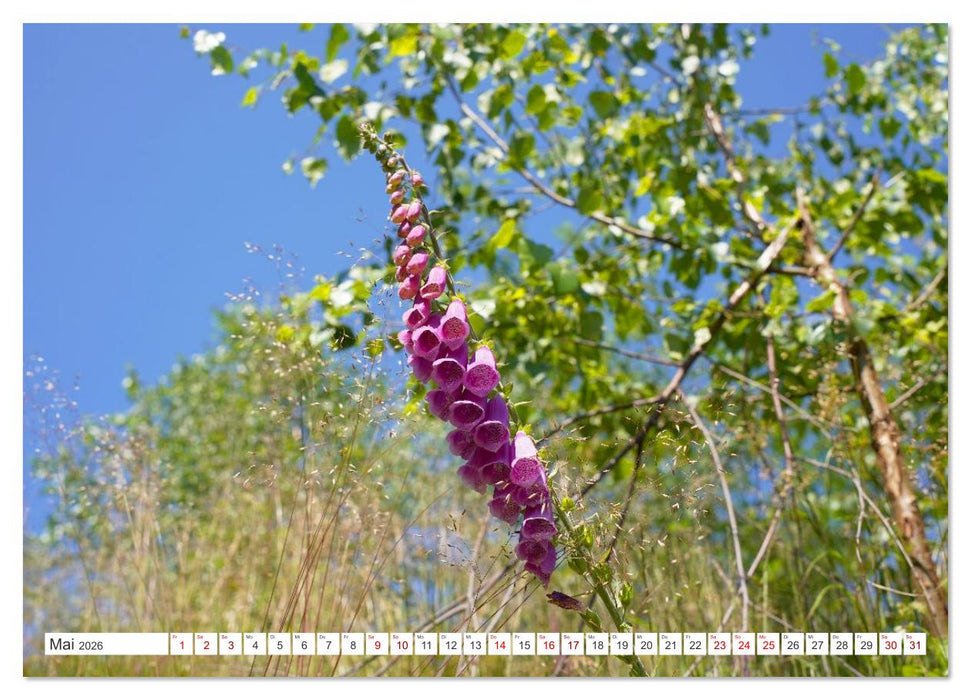 Herdorf im Hellertal (CALVENDO Wandkalender 2026)