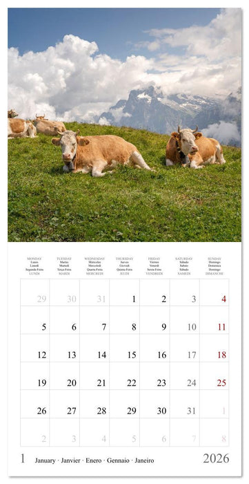 Suisse - Le poumon vert de l'Europe (CALVENDO Calendrier mensuel 2026)