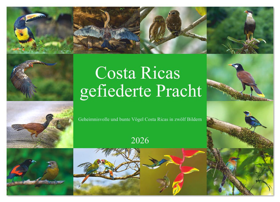 Costa Ricas gefiederte Pracht (CALVENDO Wandkalender 2026)