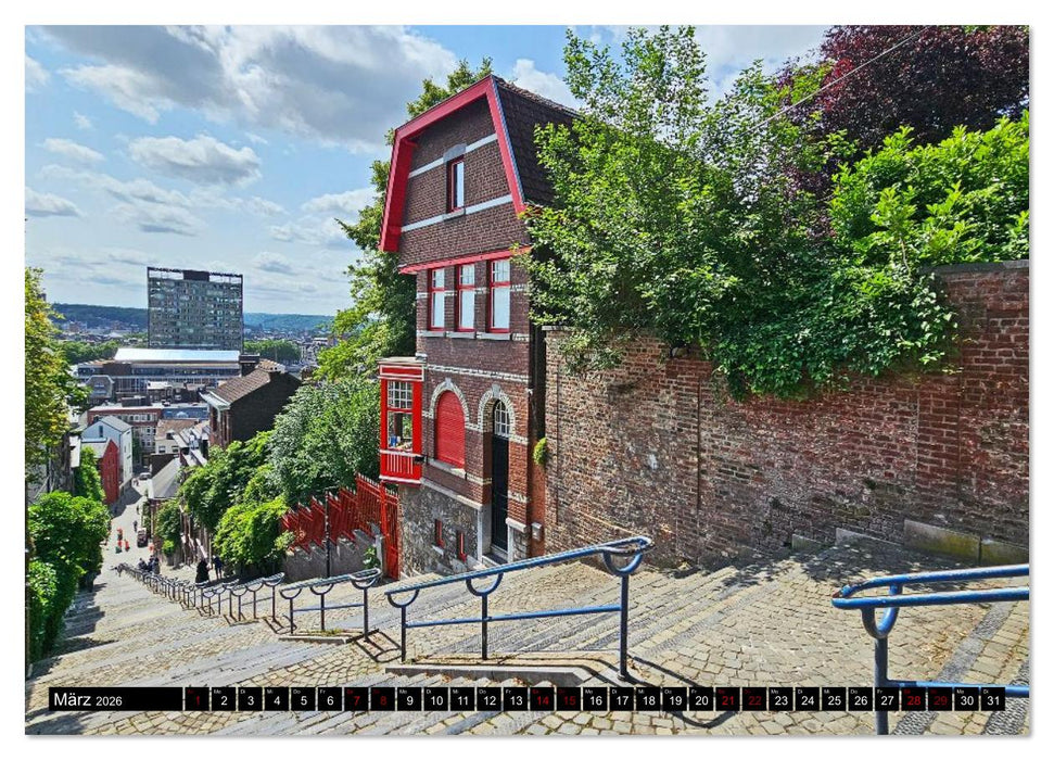 Rundreise kreuz und quer durch Holland und Belgien (CALVENDO Premium Wandkalender 2026)