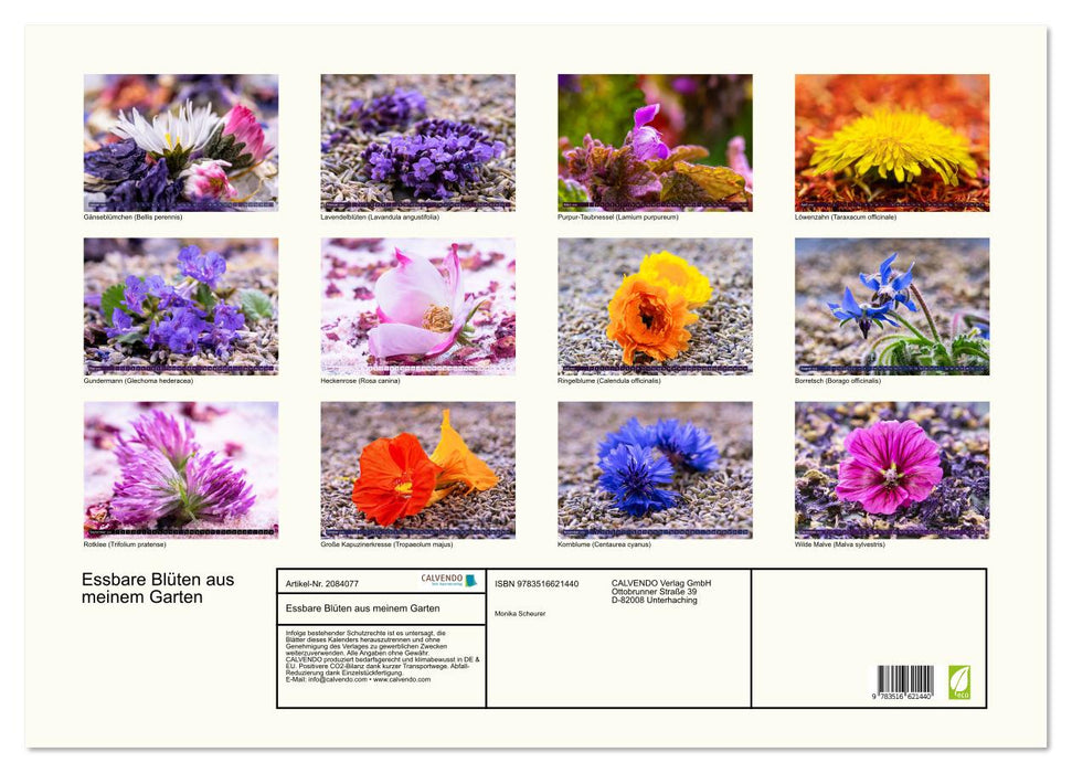 Essbare Blüten aus meinem Garten (CALVENDO Wandkalender 2026)