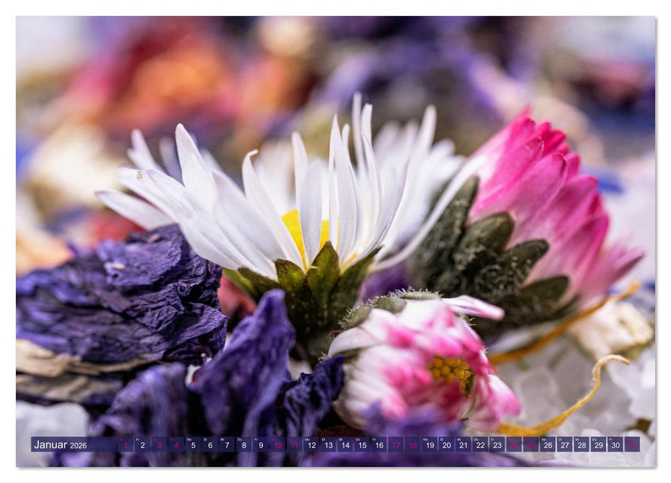 Essbare Blüten aus meinem Garten (CALVENDO Premium Wandkalender 2026)