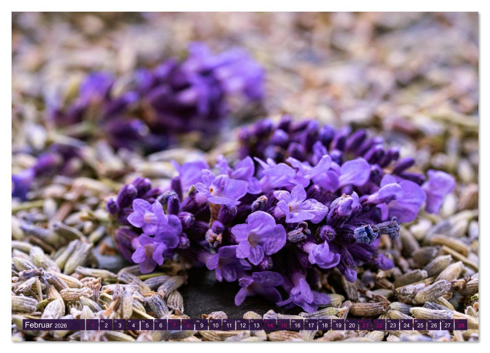 Essbare Blüten aus meinem Garten (CALVENDO Premium Wandkalender 2026)
