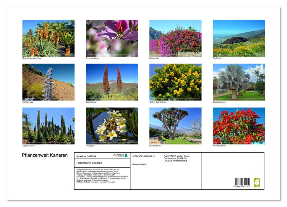 Pflanzenwelt Kanaren (CALVENDO Wandkalender 2026)