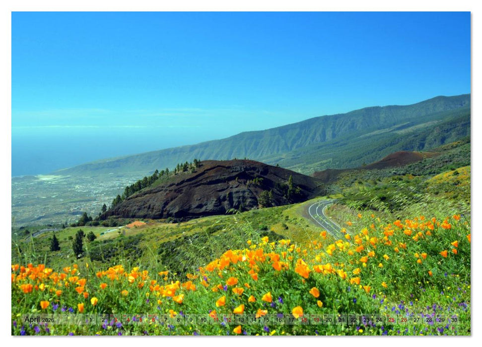 Pflanzenwelt Kanaren (CALVENDO Wandkalender 2026)