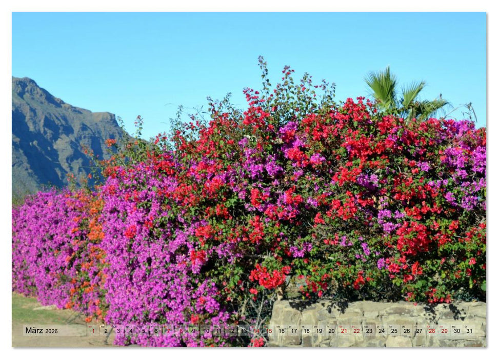 Pflanzenwelt Kanaren (CALVENDO Premium Wandkalender 2026)