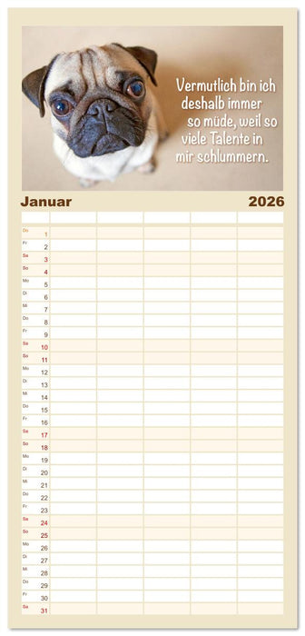 Mopsala: Vom Glück, ein Mops zu sein (CALVENDO Familienplaner 2026)