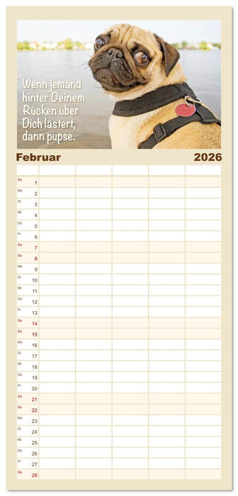 Mopsala: Vom Glück, ein Mops zu sein (CALVENDO Familienplaner 2026)
