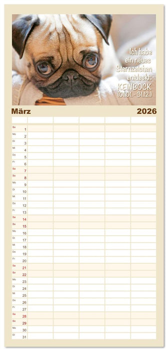 Mopsala: Vom Glück, ein Mops zu sein (CALVENDO Familienplaner 2026)