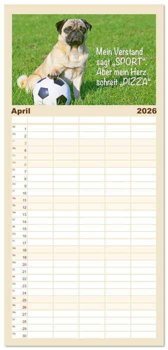 Mopsala: Vom Glück, ein Mops zu sein (CALVENDO Familienplaner 2026)