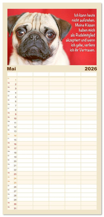 Mopsala: Vom Glück, ein Mops zu sein (CALVENDO Familienplaner 2026)