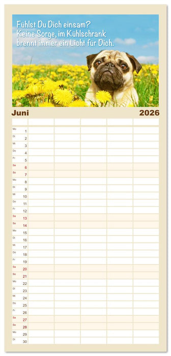 Mopsala: Vom Glück, ein Mops zu sein (CALVENDO Familienplaner 2026)