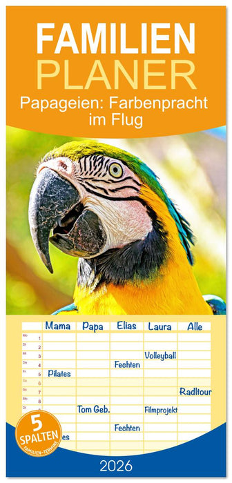 Papageien: Farbenpracht im Flug (CALVENDO Familienplaner 2026)