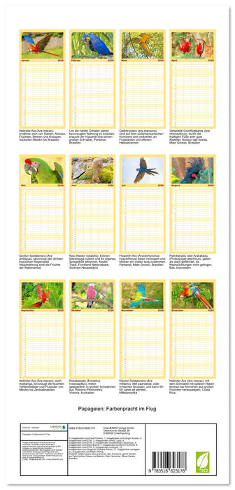 Papageien: Farbenpracht im Flug (CALVENDO Familienplaner 2026)