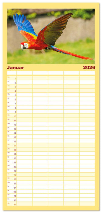 Papageien: Farbenpracht im Flug (CALVENDO Familienplaner 2026)