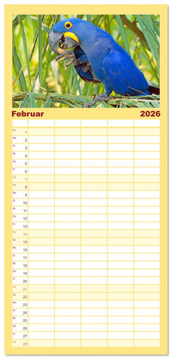 Papageien: Farbenpracht im Flug (CALVENDO Familienplaner 2026)