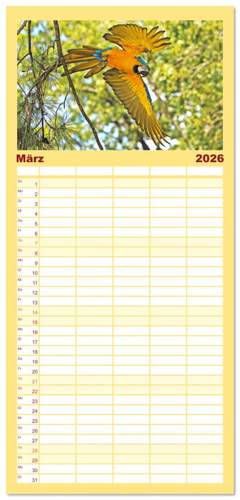 Papageien: Farbenpracht im Flug (CALVENDO Familienplaner 2026)