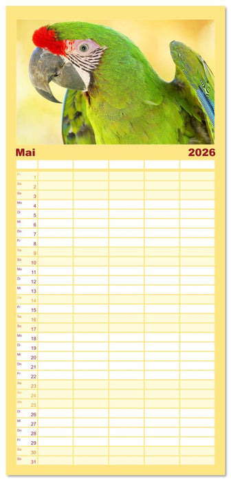 Papageien: Farbenpracht im Flug (CALVENDO Familienplaner 2026)