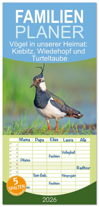 Vögel in unserer Heimat: Kiebitz, Wiedehopf und Turteltaube (CALVENDO Familienplaner 2026)